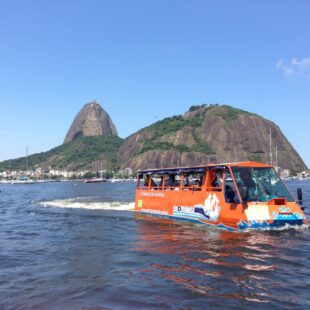 Rio de Janeiro anfíbio