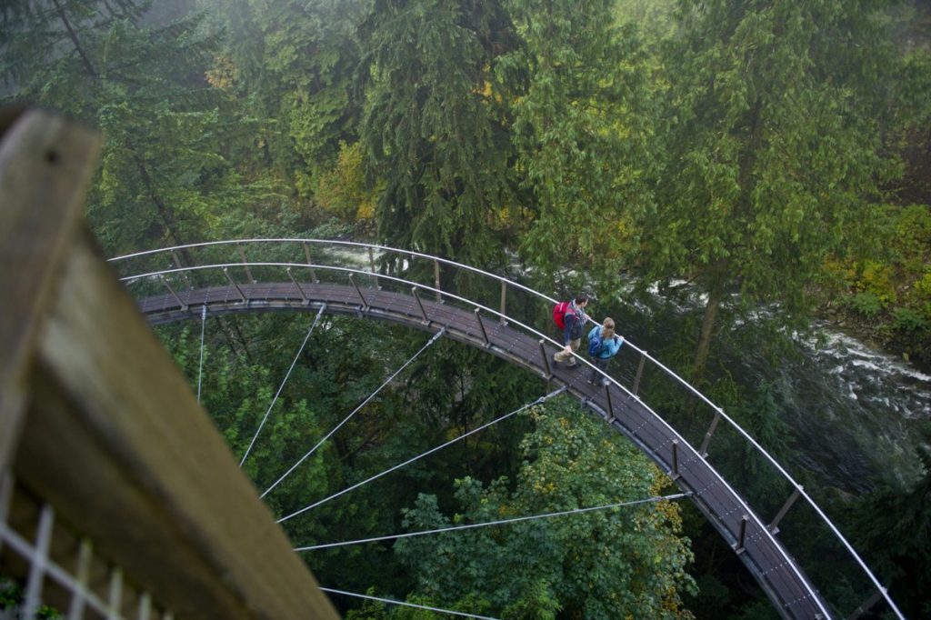 <p>Capilano Bridge</p>
