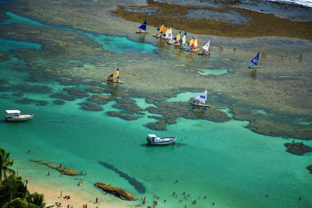 <p>Arrecifes de Porto de Galinhas</p>
