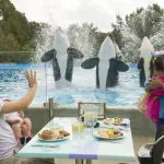 SeaWorld começa temporada do Halloween Spooktacular em outubro