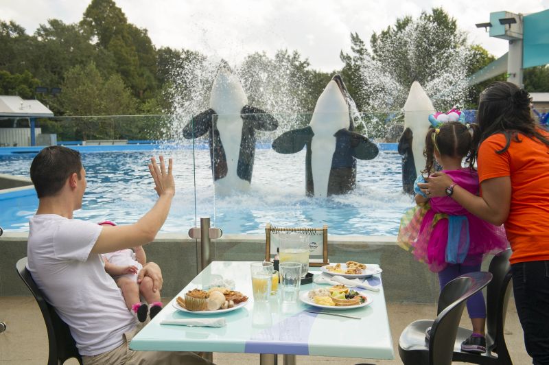 SeaWorld começa temporada do Halloween Spooktacular em outubro