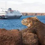 Viaje de navio para Galápagos