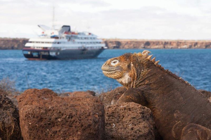 Viaje de navio para Galápagos