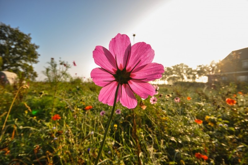 Destinos floridos para curtir a primavera no Brasil