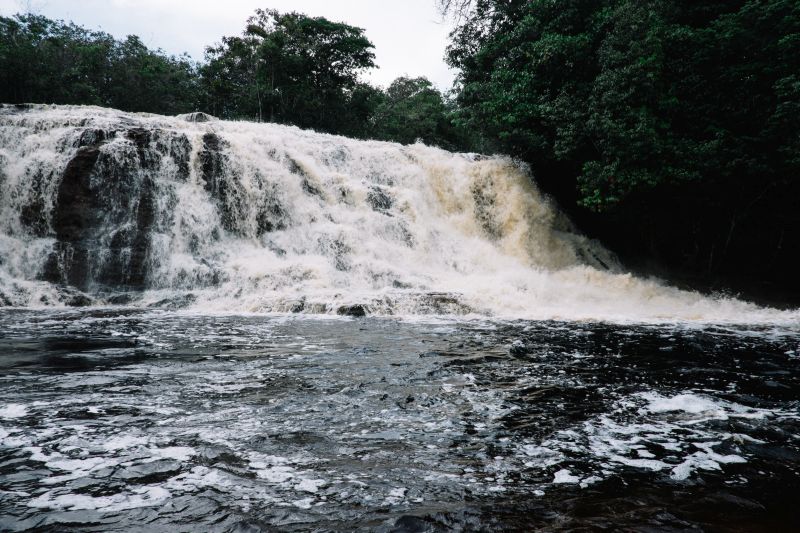 Um passeio inesquecível por Manaus e arredores