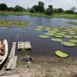 Quatro mulheres encaram 11 dias na Amazônia