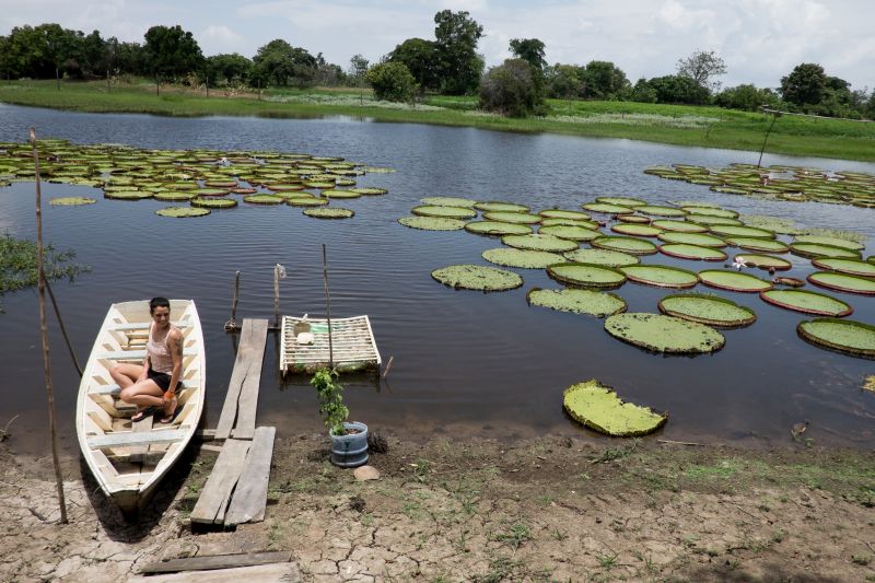 Quatro mulheres encaram 11 dias na Amazônia