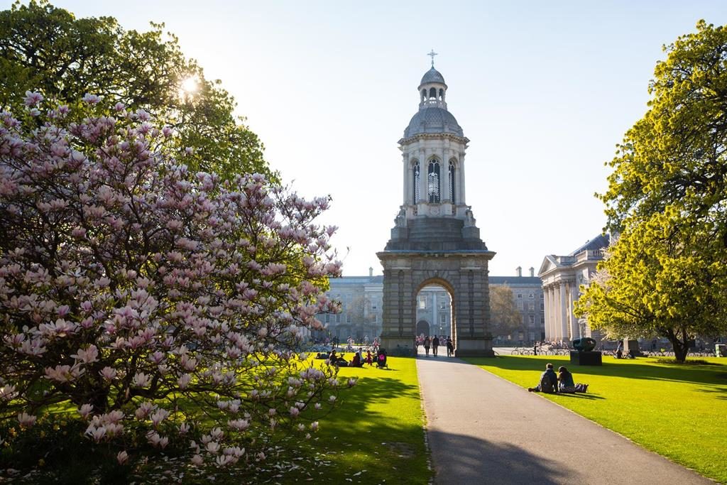 <p>Trinity College</p>
