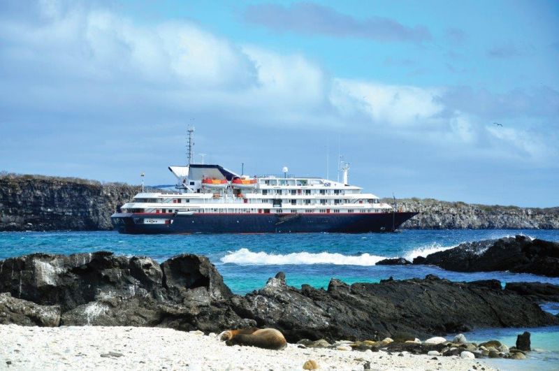 Comemore as festas de fim de ano em navios luxuosos