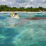 Aproveite o verão em destinos do Caribe mexicano