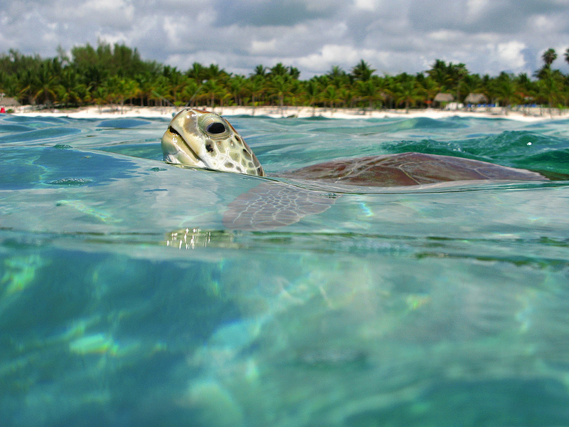 Aproveite o verão em destinos do Caribe mexicano