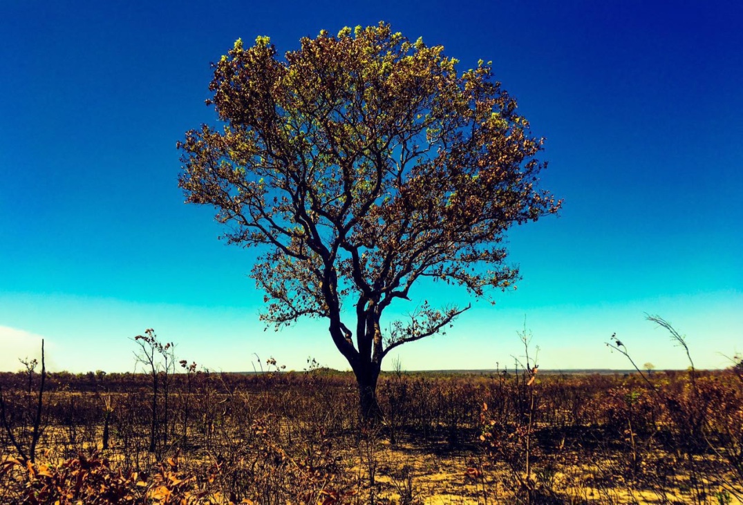 De São Paulo ao Parque Nacional do Jalapão de carro