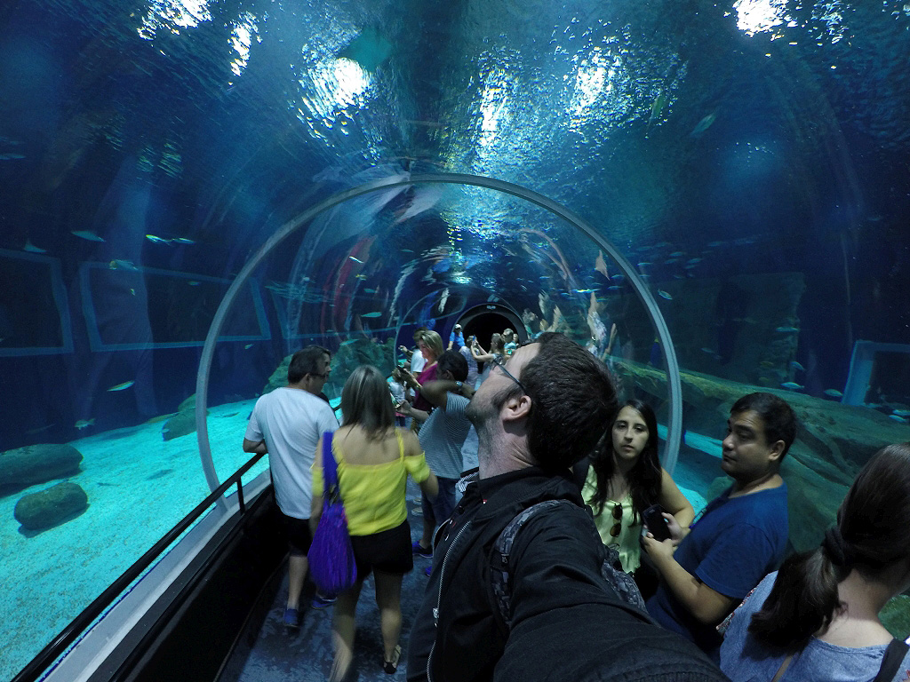 Como é o AquaRio, na Zona Portuária carioca