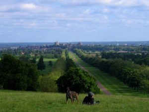 Vista do Windsor Great Park 