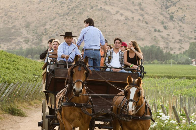 Chile: Valle de Colchagua é ideal para casais em lua de mel