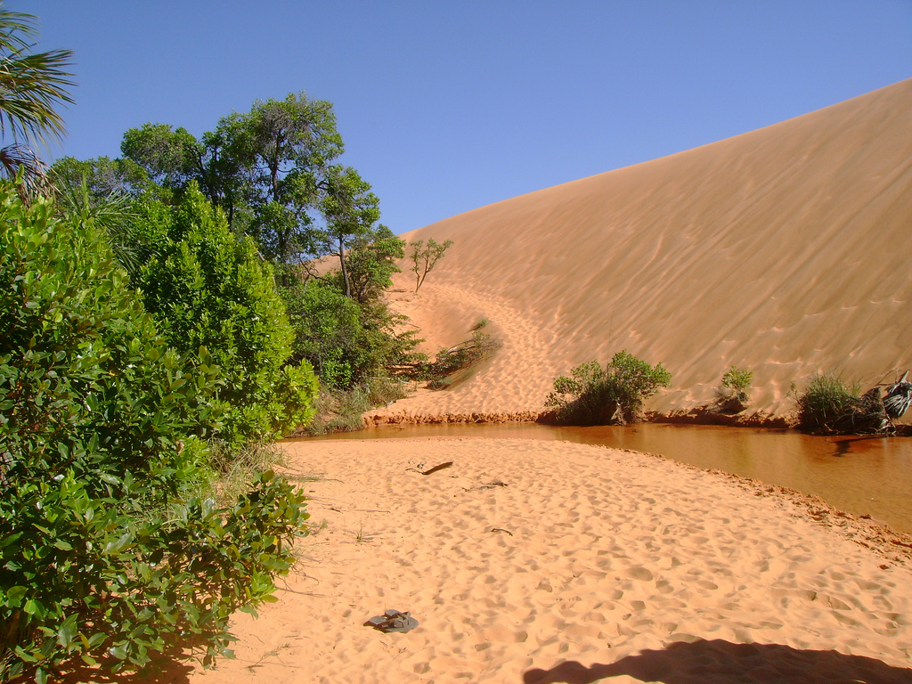 Viaje pelos principais destinos ecoturísticos do Brasil