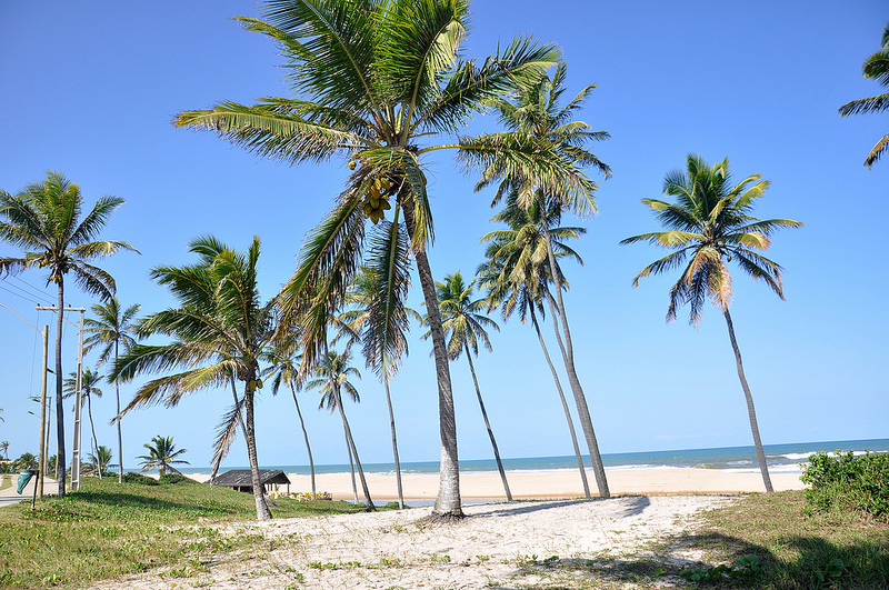 Um roteiro por Imbassaí e região, na Bahia