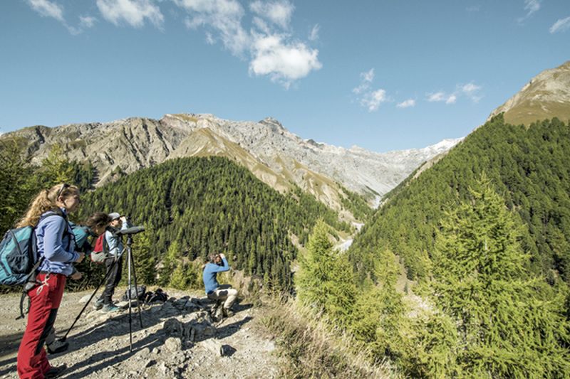 Lugares para curtir a natureza na Suíça