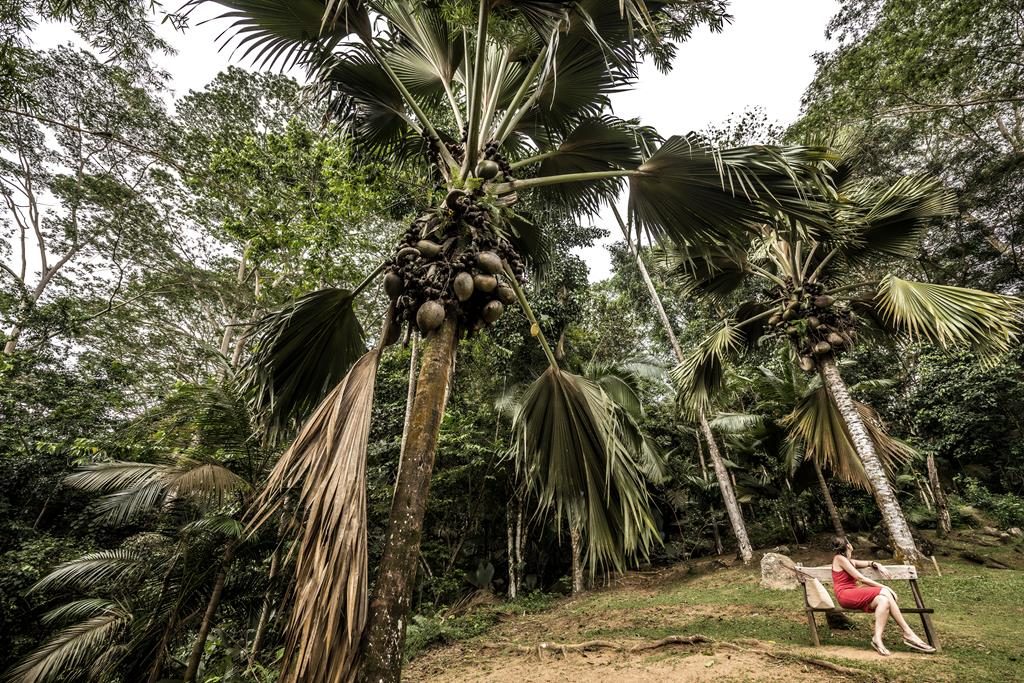 O que fazer em Seychelles – Atrações incríveis e dicas