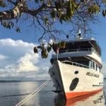 Passeio de barco leva a Santarém e Belterra, na amazônia paraense