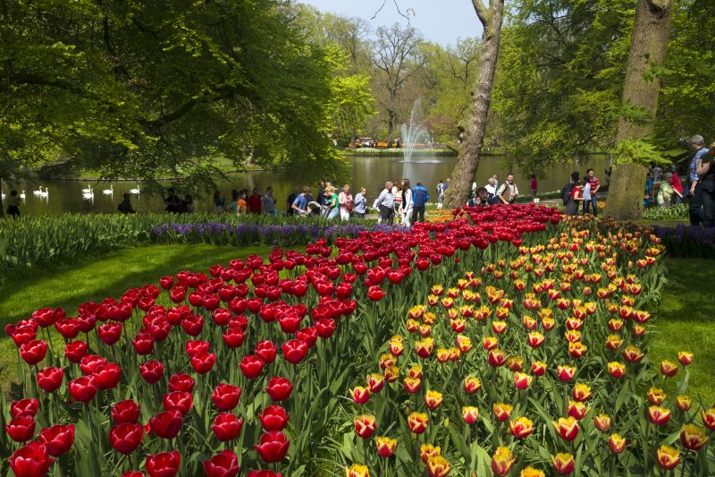 Keukenhof, parque de flores da Holanda