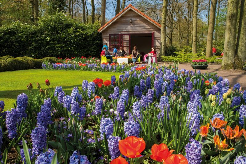 9 curiosidades do Keukenhof, parque de flores da Holanda