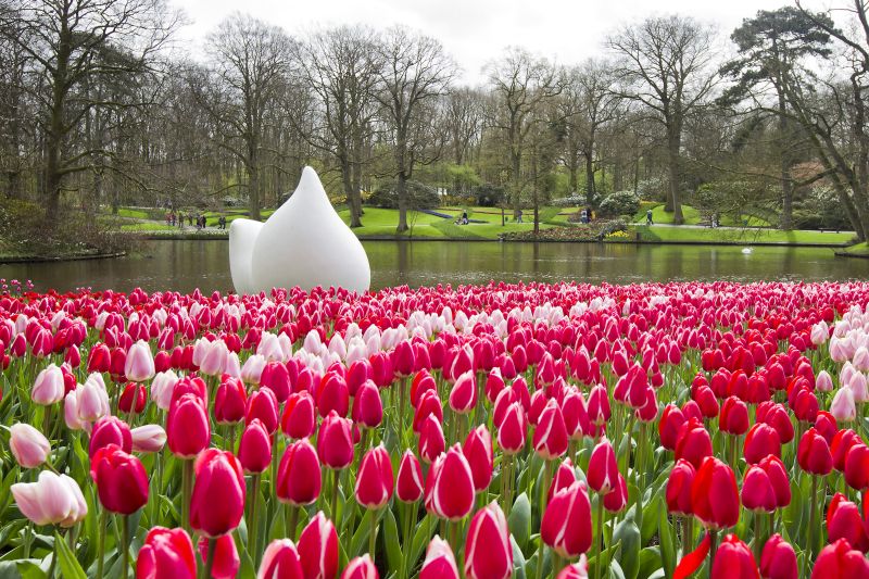 Keukenhof, parque de flores da Holanda