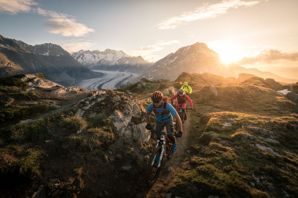 Bike Gruppe auf einem Trail bei Sonnenuntergangsstimmung