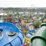 Parque Aquatica completa 10 anos com novidades