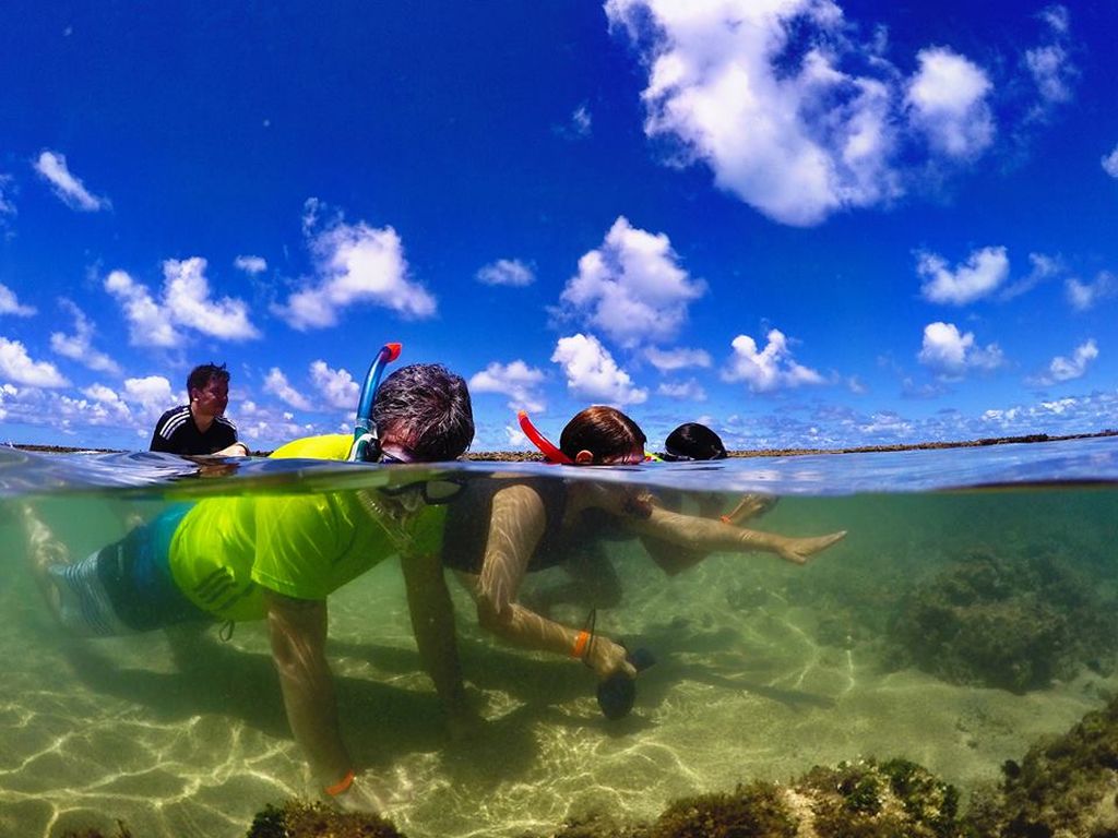 8 lindas piscinas naturais para conhecer no Brasil e no mundo