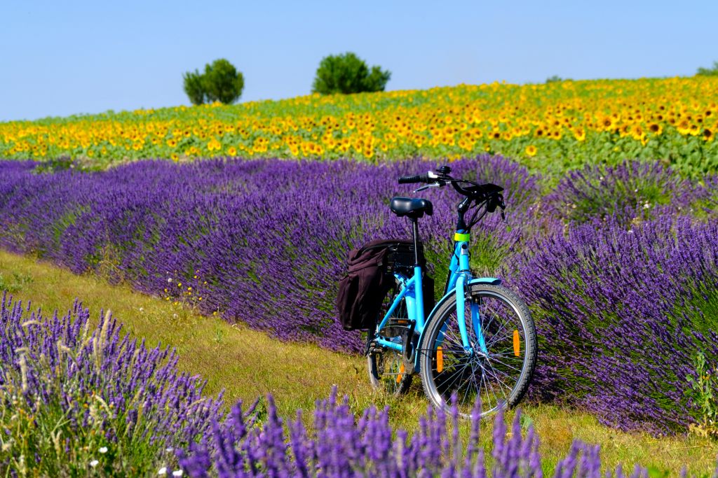 7 destinos para conhecer a Europa de bicicleta