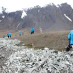 O que fazer na Noruega: safáris e muita natureza