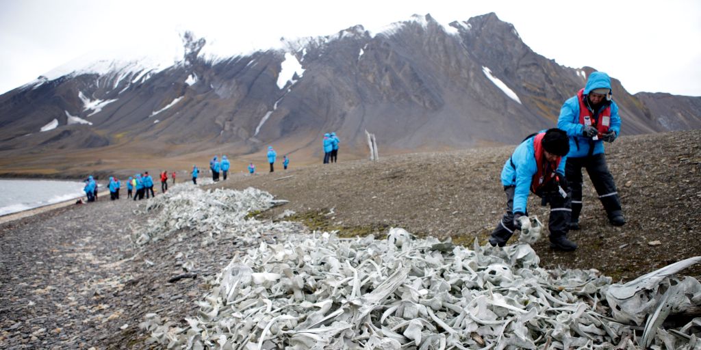 O que fazer na Noruega: safáris e muita natureza