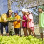 Acampamento de férias: futebol e gastronomia no Peraltas