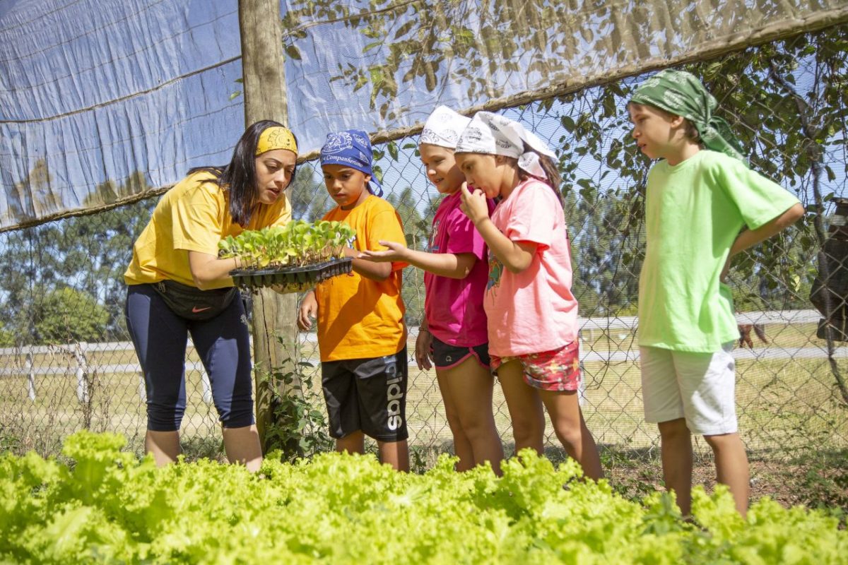 Acampamento de férias: futebol e gastronomia no Peraltas