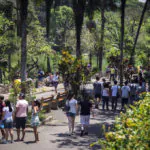 Zoológico de São Paulo é boa opção para passear com crianças