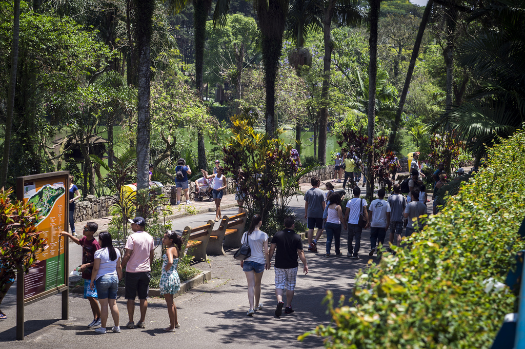 Zoológico de São Paulo é boa opção para passear com crianças