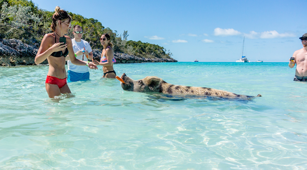 Praia nas Bahamas