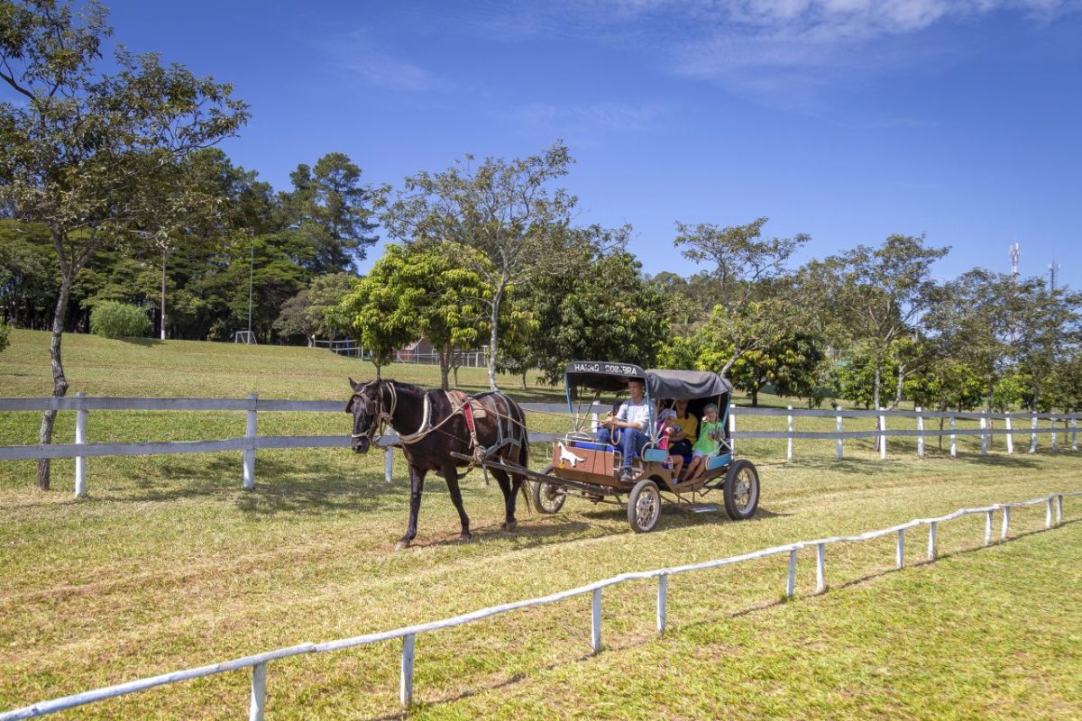 Brotas Eco Resort tem pacote para 7 de setembro