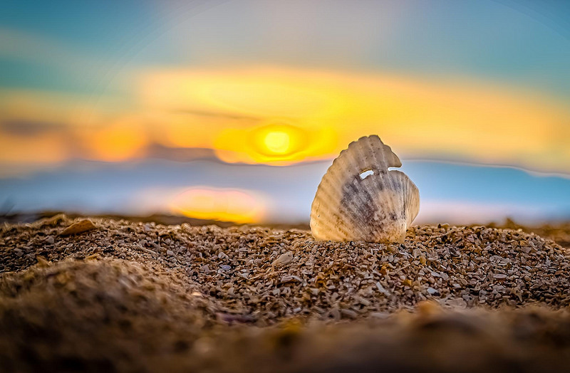 Praia conchas Austrália