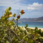 Ilha de Saint Martin, no Caribe, se prepara para receber turistas