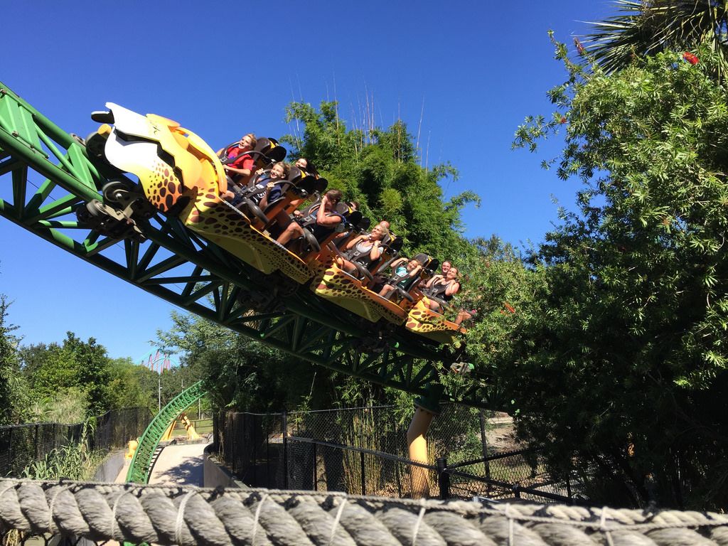 Parque radical Busch Gardens, em Tampa, ganhará novas atrações