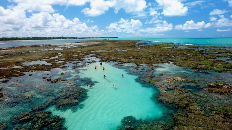 Em Maceió, na praia de Pratagy, é possível nadar com peixes |Divulgação