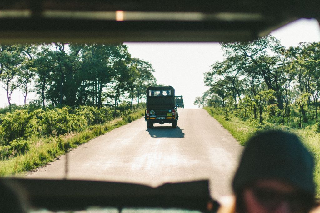 Parque Nacional Kruger, na África, encanta visitantes com safári