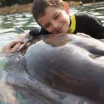 Nado gratuito com golfinho no Discovery Cove, do SeaWorld Orlando