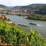 Conheça Rüdesheim, a mais linda cidade do Reno