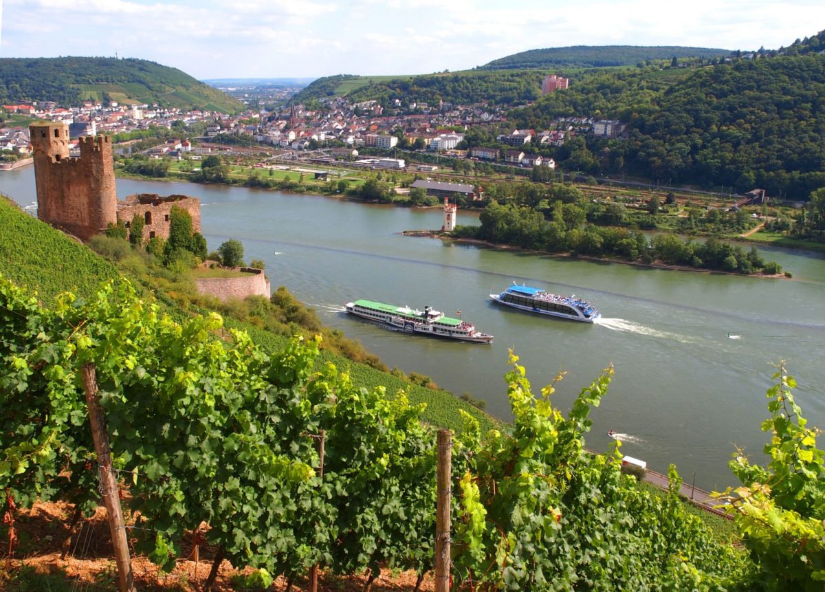 Conheça Rüdesheim, a mais linda cidade do Reno