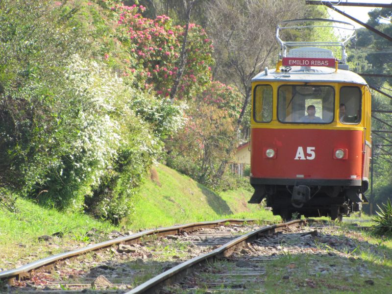 Passeio de trem é opção para conhecer Campos do Jordão