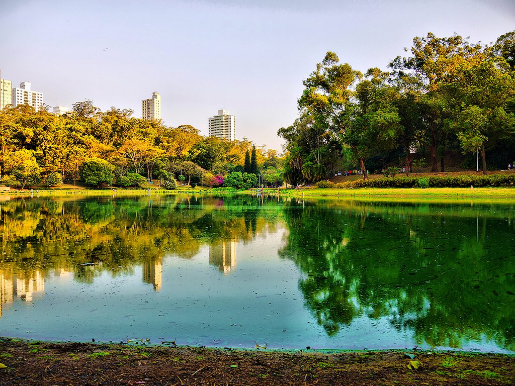 Lago no Parque da Aclimação | <a href=