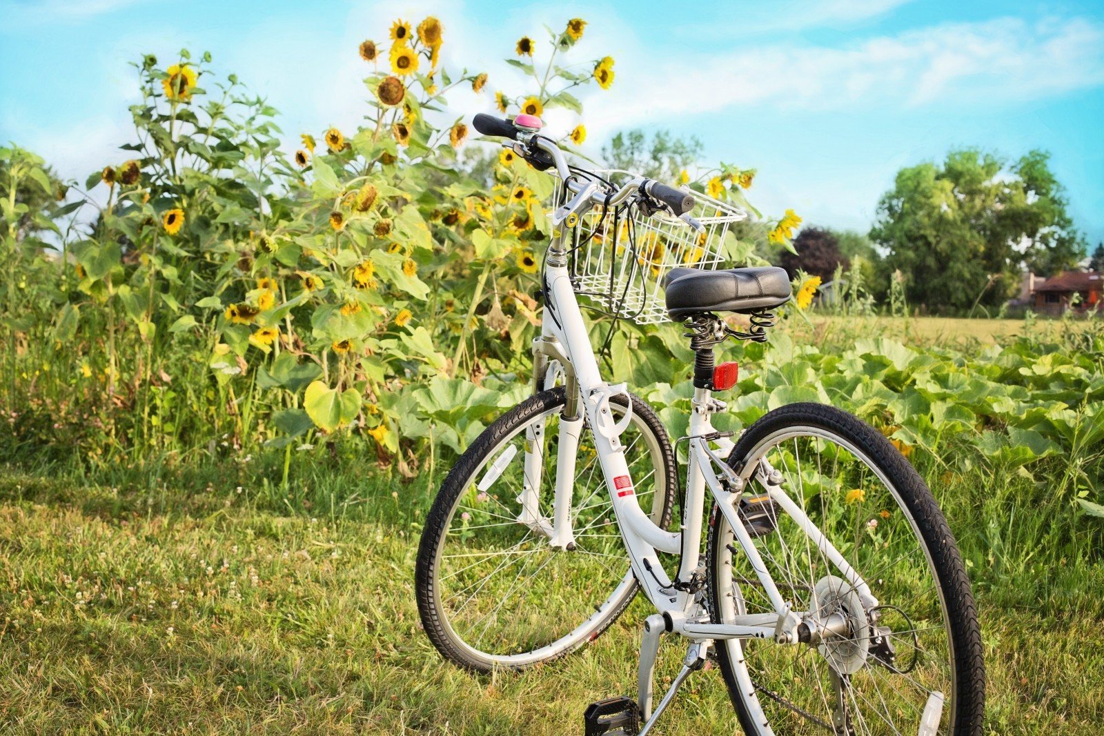 5 roteiros de bike para curtir em grandes cidades do Brasil